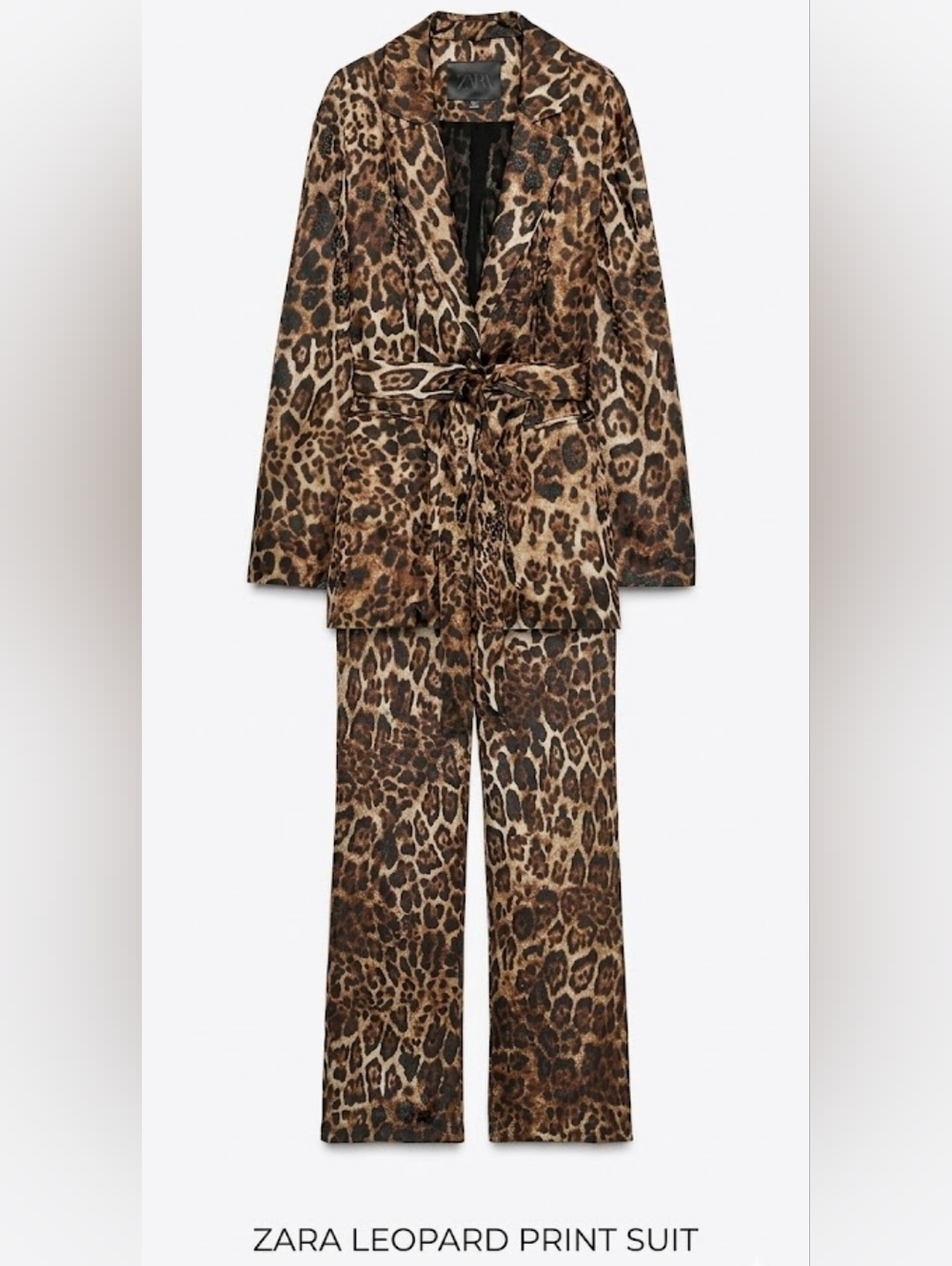 Soldout Zara  COLLECTION ANIMAL PRINT JACQUARD BLAZER & Wide Leg Pant Xs